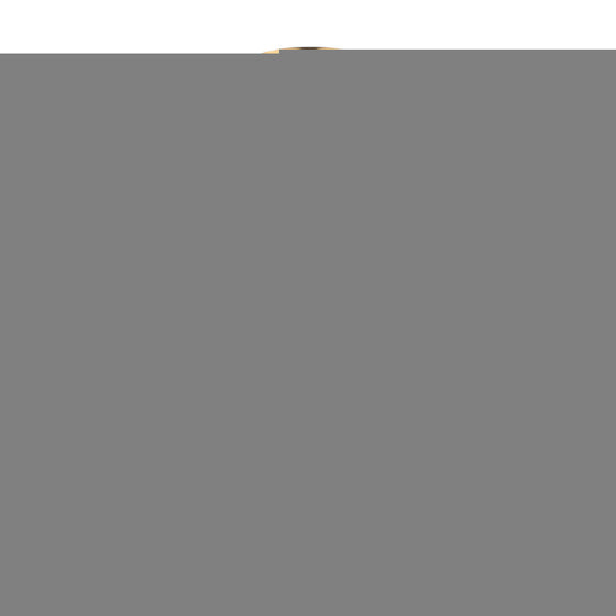 V3H49ABAE19EFB99AD3D65FC292C1BC44B5R4445655P1