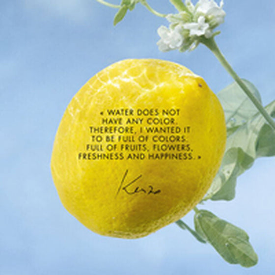 V4HAE41DEC245A48428A2777FE1055C546FR6237861P3