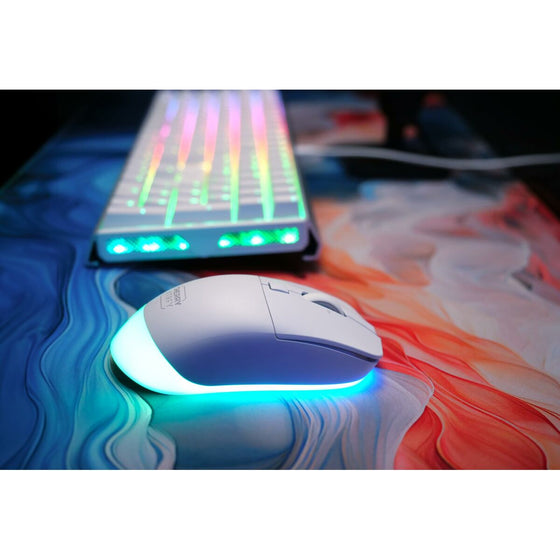 V3H48F48E199C22B4AA0475FC5D80AF478FR6290527P7