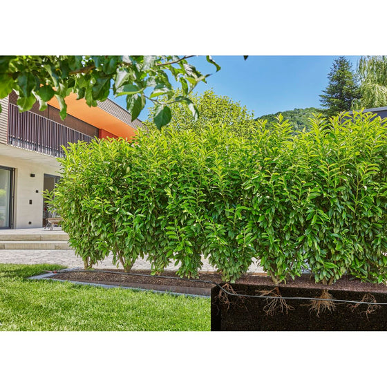 V5HCFC6B2A5B0D2E0D72A33A69905EDC96DR7162853P10