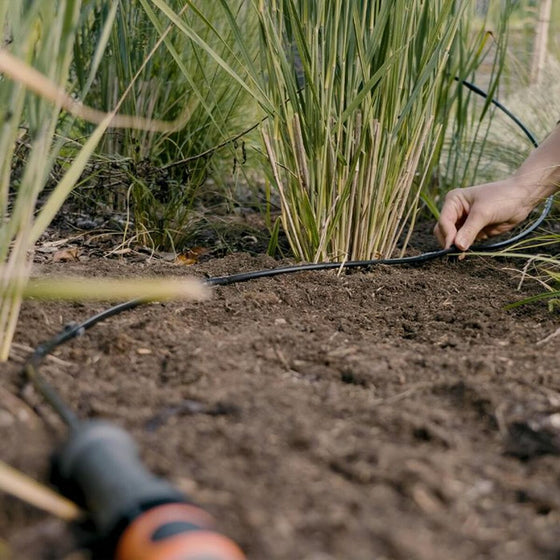 V5H8F6BBE86D8F2DBD9946050D5A0431DBDR7162883P3