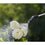 V6HF2CCFE07A12048EF97E18987EF683CC0R4071471P4