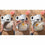 V2H72517E51A2ABC4114CF451E115FBC83AR5794219P4