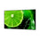 V11H80AB42A21CCA320727DA9B2AA2CA5DBBR3584790P1