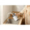 V2H1E296C7BE1BD1BE70C9E632A2FC2DFFDR7405680P8