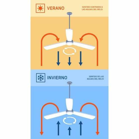 V4H329305C664EE1A00FF9A7237DDED1F07R6813964P2