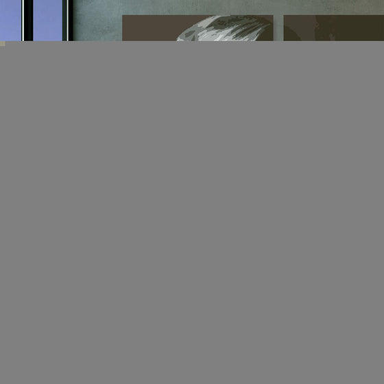 V4H7AB2393B896E17C6EFBCEF052087A748R4661363P2