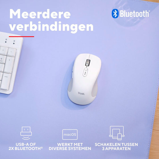 V2HFDC6026AB7B831C1642B9EBB55BB666DR7357450P8