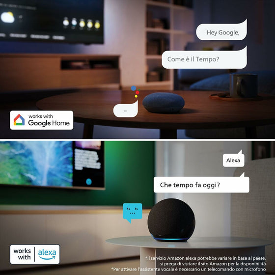 V4HFE5B077F7D0B98B6A445B21746F5862AR5743491P8