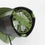 V6HC7E78AE2B8A8681EBFC860E93C6B24EAR6751020P4